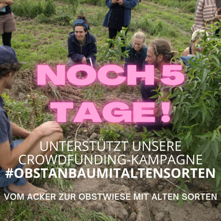 Noch 5 Tage Crowdfunding-Kampagne #ObstanbauMitAltenSorten